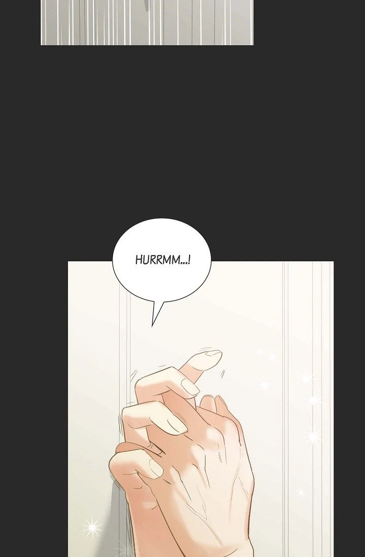 88692464 720 1098 31834